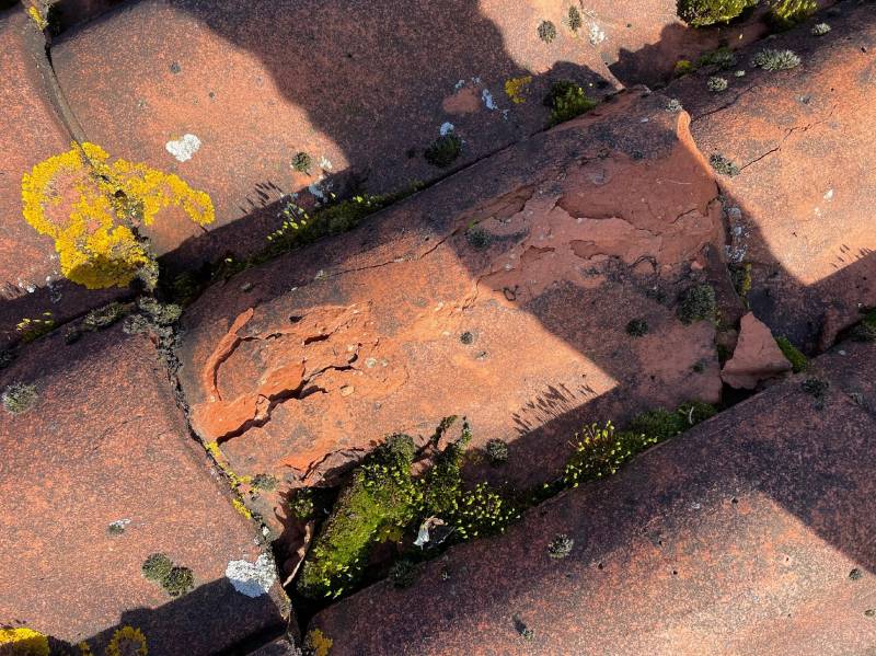 Tuiles abimées à Gujan-Mestras