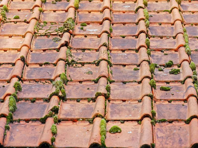 Tuiles en mauvais état